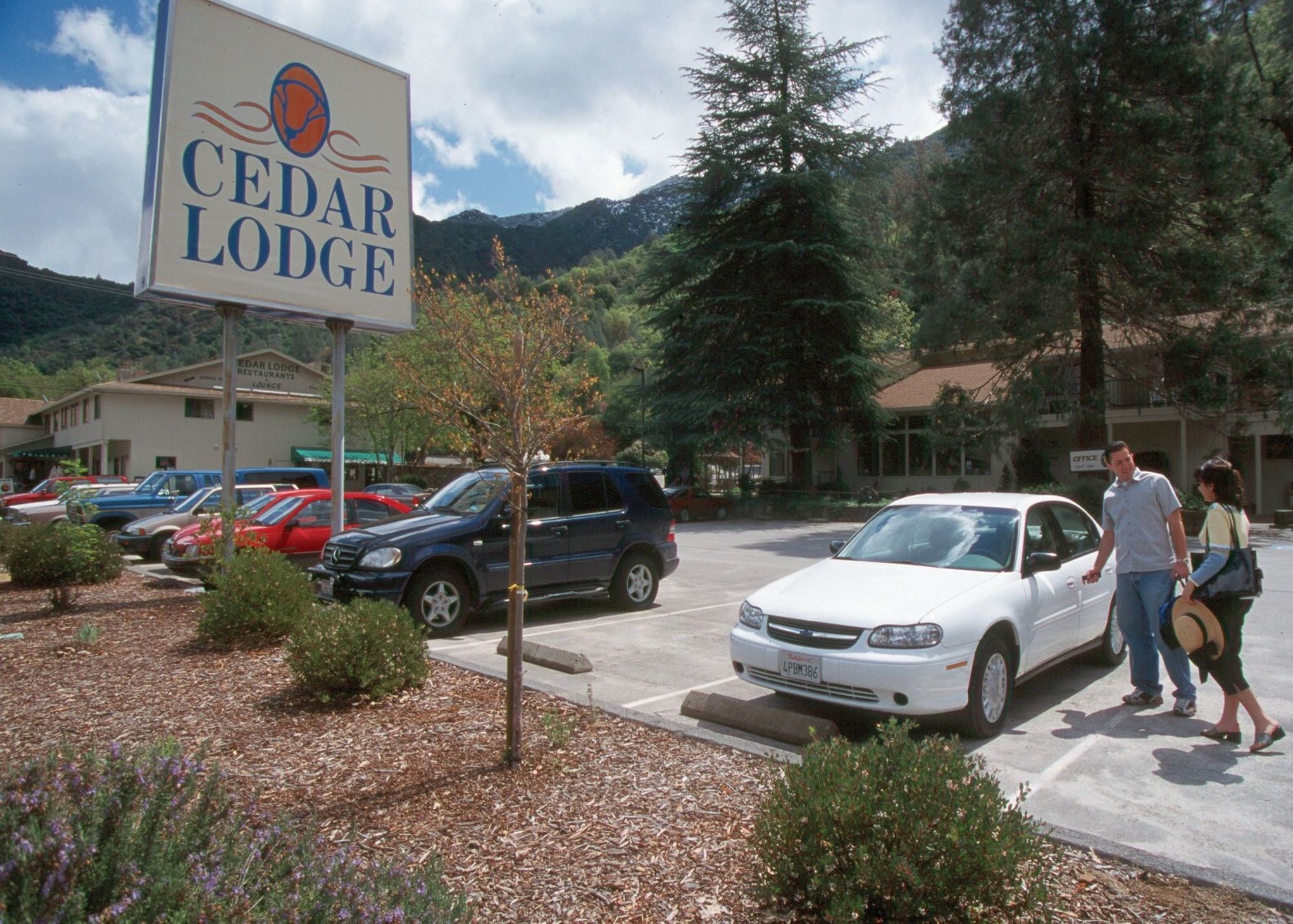 Motel Cedar