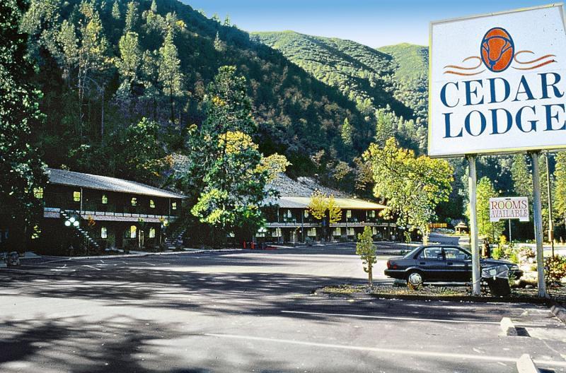 Motel Cedar 2*